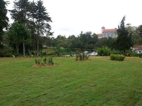 Dew Drop Inn Tanah Rata Bagian luar foto